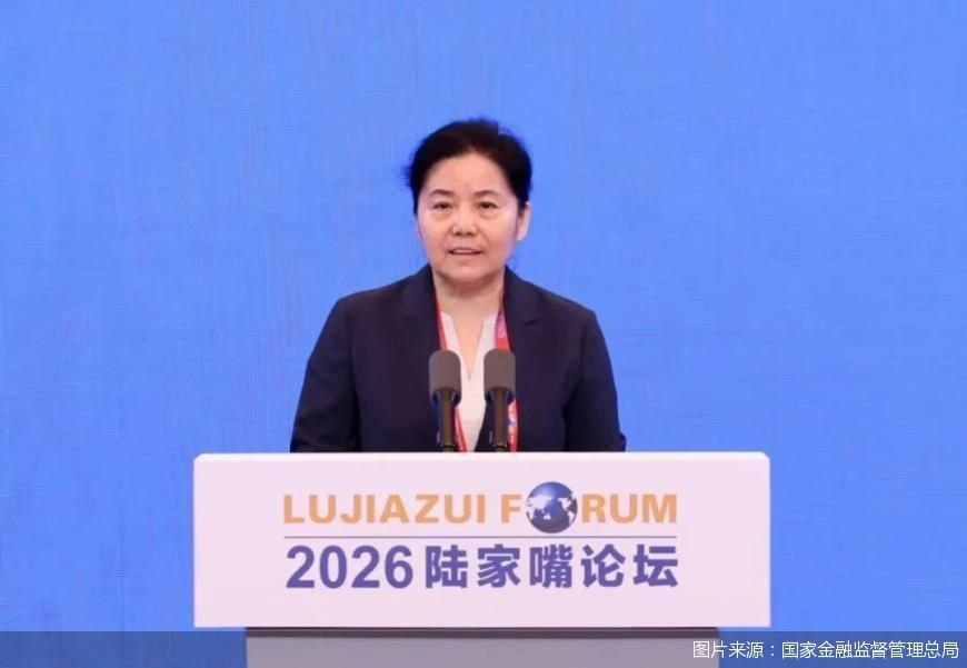 硬约束、全覆盖、无例外!丁向群首秀释放金融严监管强监管信号